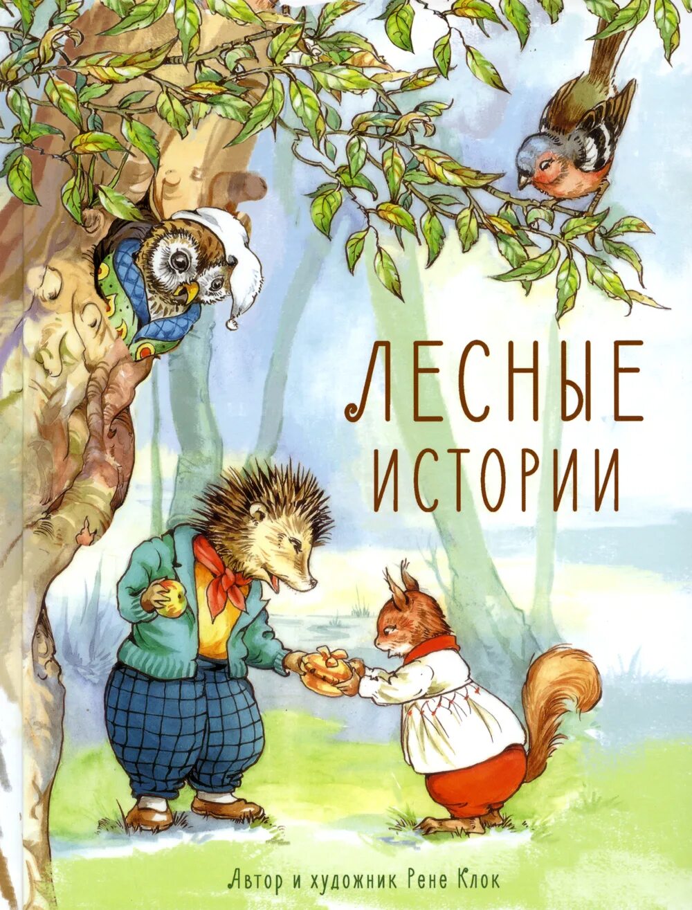 Клок Рене "Лесные истории". Книга Лесные истории Рене клок. Рене клок иллюстрации. Детская книга Лесные истории.