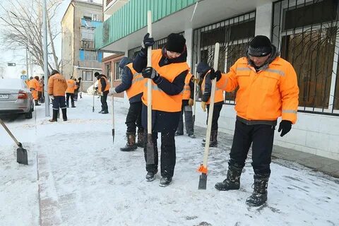 Окз дворник