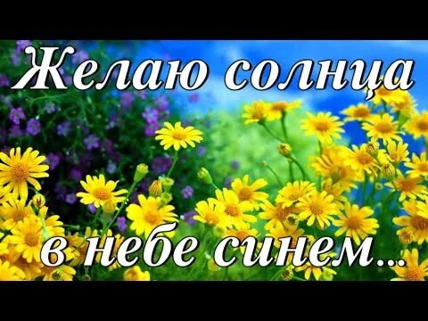 Желаю солнца желаю быть. Желаю солнца. желаю солнца желаю неба. желаю солнца в небе синем улыбок прелести цветов. желаю солнца желаю неба пацанам.