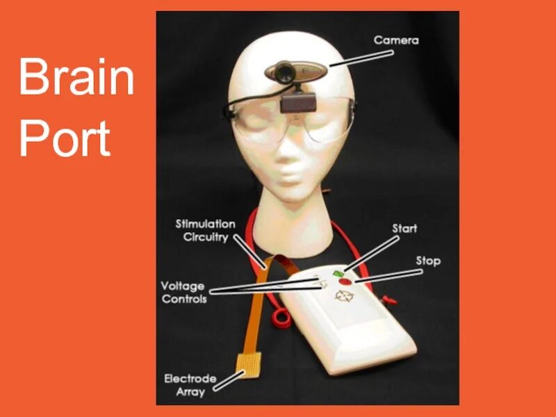 Brain 125. Brainport – это устройство, позволяющее…. Brainport механизм воздействие. Решетка электродов Брейн порт. Решетка Brainport.
