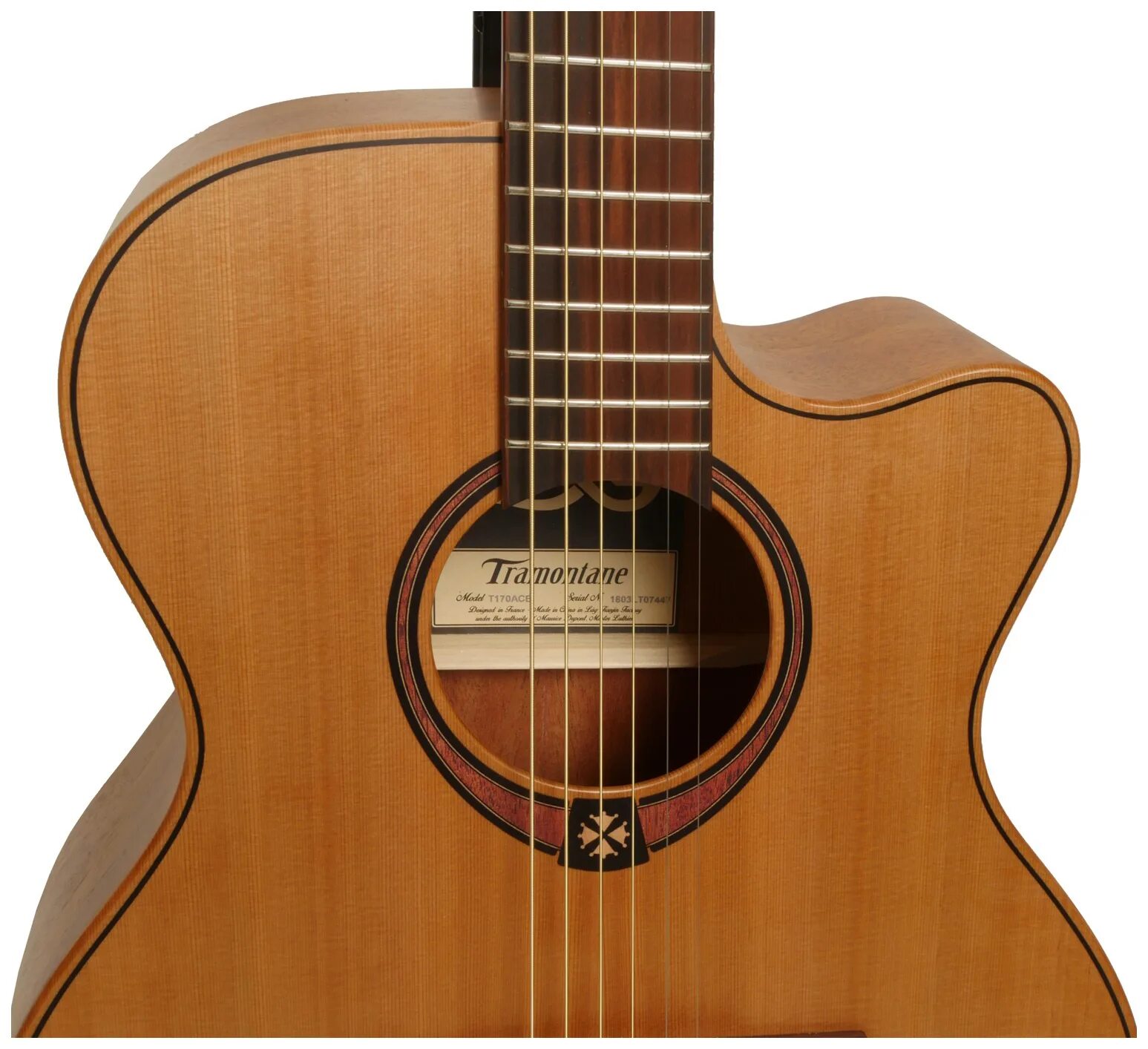 Электроакустическая гитара ibanez aeg10ii-trs. Полуакустическая гитара d'angelico. Гитара milava1. Crafter lx g-1000ce. Ibanez aw84ce-wk.