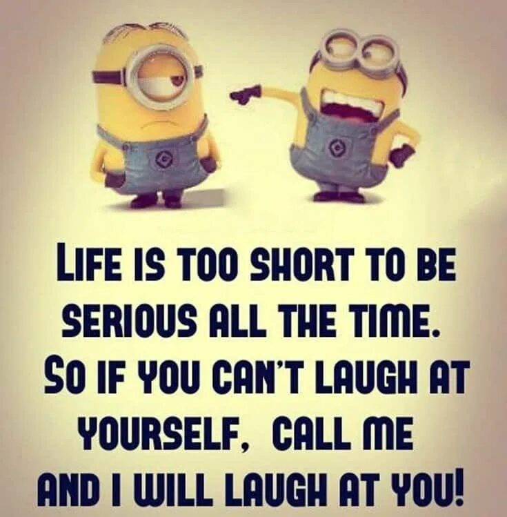 Life for fun. Funny quotes. Funny Life quotes. Funny quotes about Life. Life is too short quote.