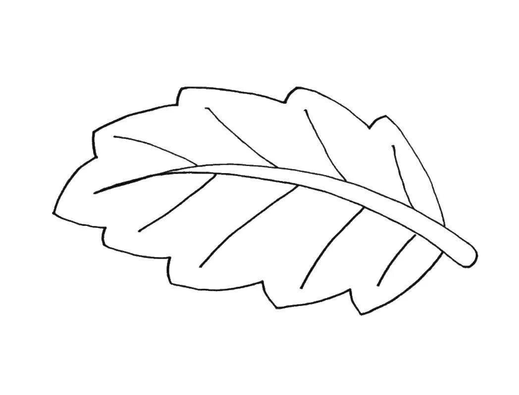 Черно белые картинки листьев. Листья контур. Листья раскраска. Листья раскраска для детей. Листья деревьев раскраска.