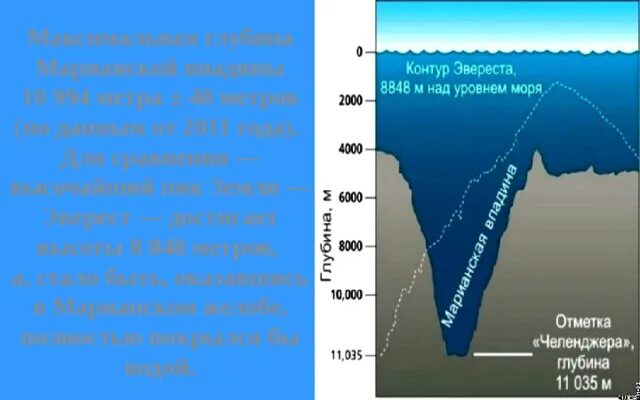 Максимальная глубина красного. Эверест и Марианская впадина. Марианская впадина и Эверест сравнение. Марианская впадина глубина и Эверест. Глубина Марианской впадины в метрах.