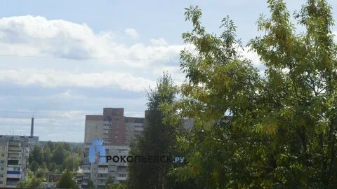7 дней прокопьевск
