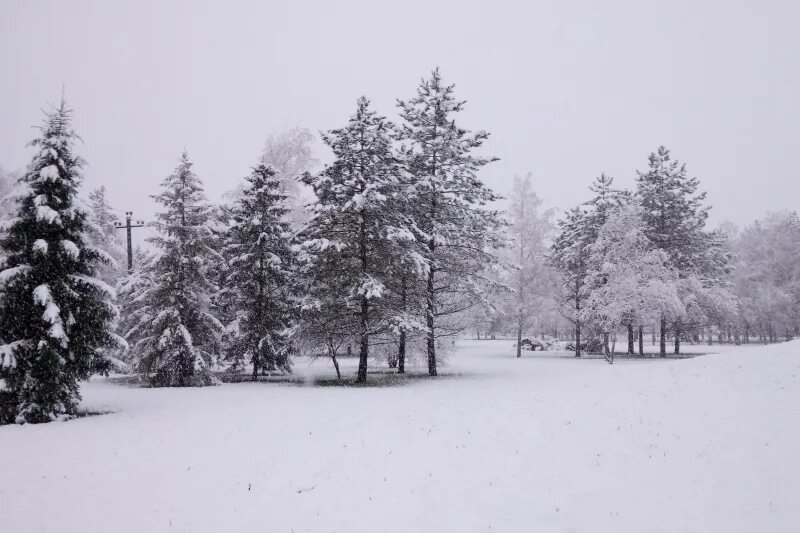 Погода на неделю полтавская красноармейский район. Красноармейск зимой. Красноармейск фото зимой.
