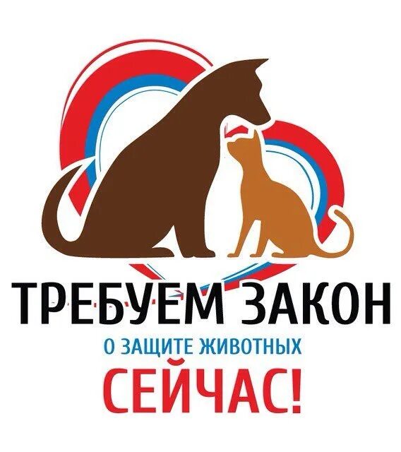 Девиз животных. Защита животных. защита животных постер. слоган о защите животных. лозунги защитим животных.