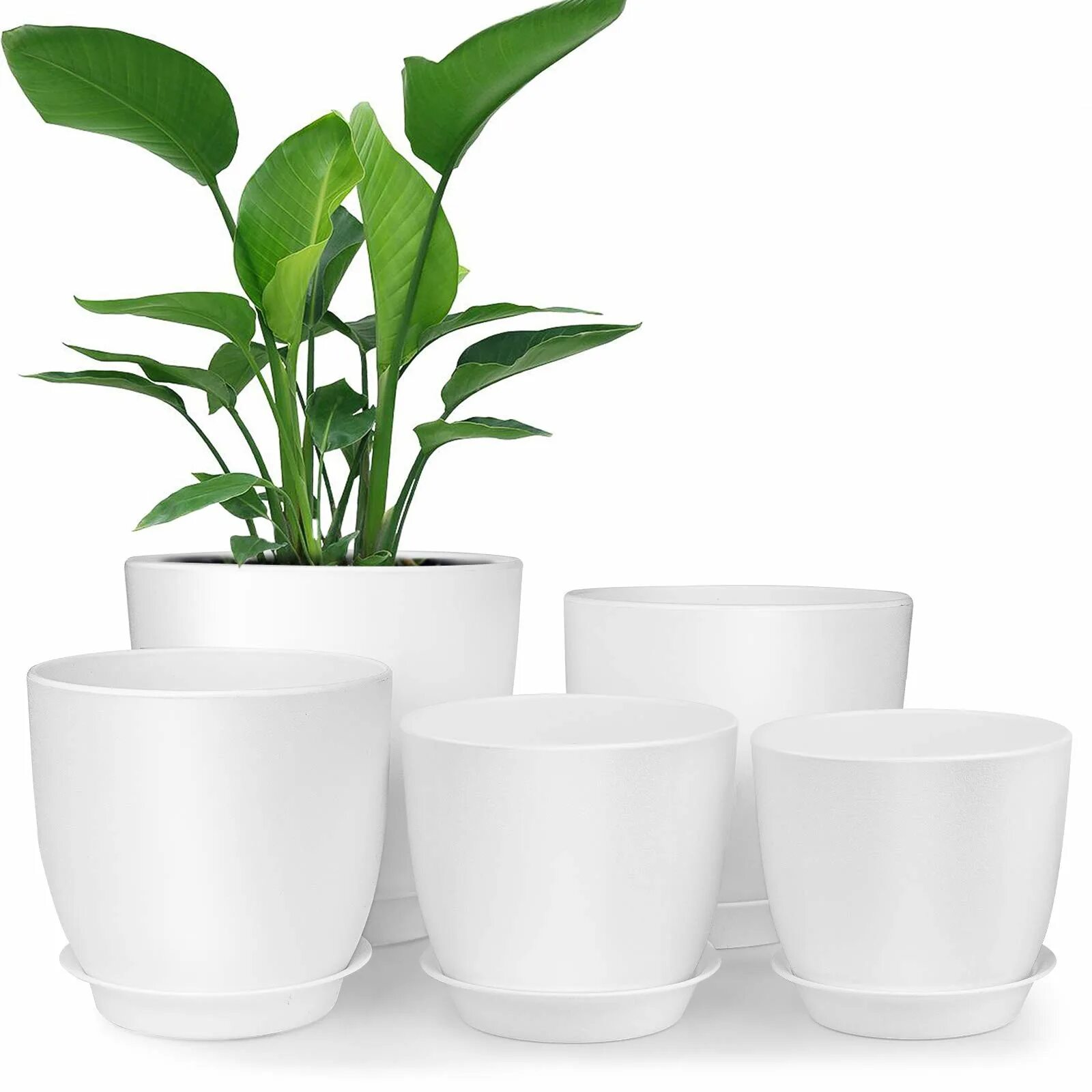 Plants control. Кашпо ПП. Plastic Flower Pots White. Экспозиции ч белым пластиковым вазоном. Кашпо для ком.растений настенное"Лозанна" 2л(белый) Интехпром.