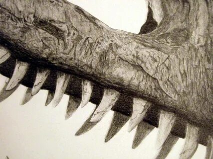 500 teeth dinosaur