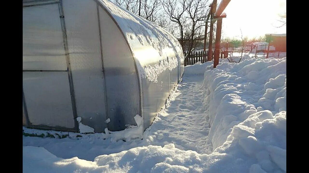 Теплица из поликарбоната от снега. Теплица зимой. Зимняя теплица из поликарбоната. Расчищенная от снега теплица. Нужно ли кидать снег в теплицу