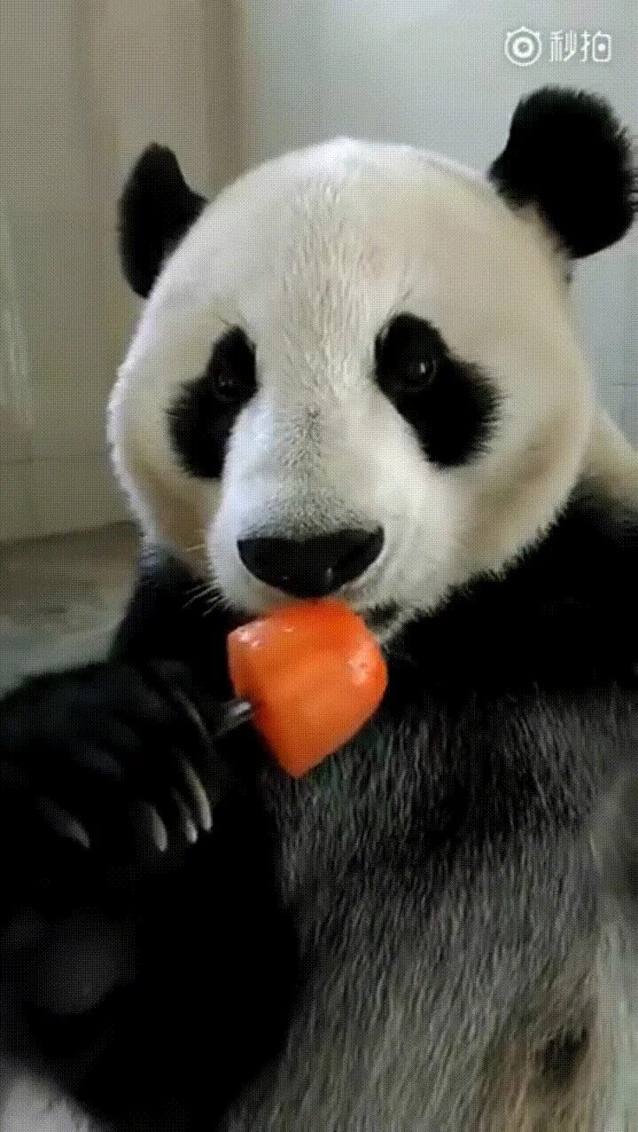 Inplace true pandas