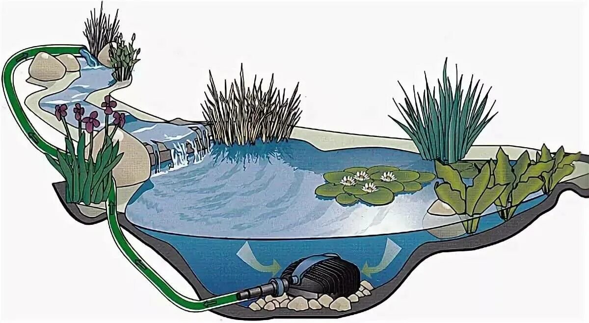 Ручей биоплато. Пруд с биоплато проект. Пруд с биоплато и водопадом. Пруд в саду с биоплато. Пруд сокращение