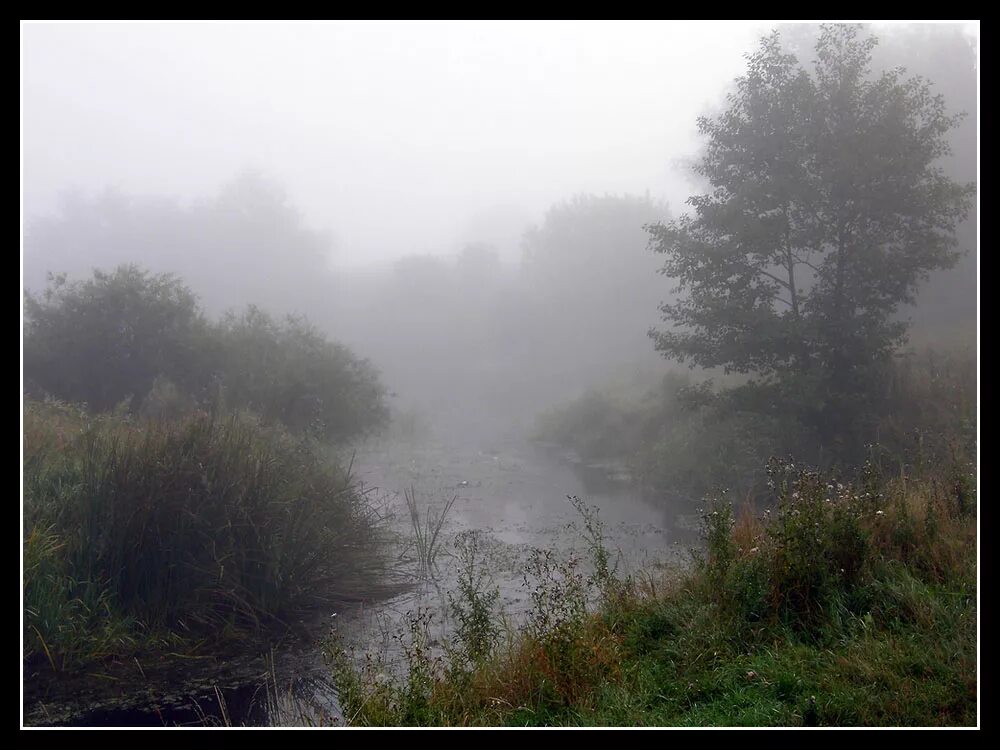 Раннее туманное утро россии. Пейзаж утро туман. Утро туман. Доброе туманное утро. Утро туманное утро сырое.