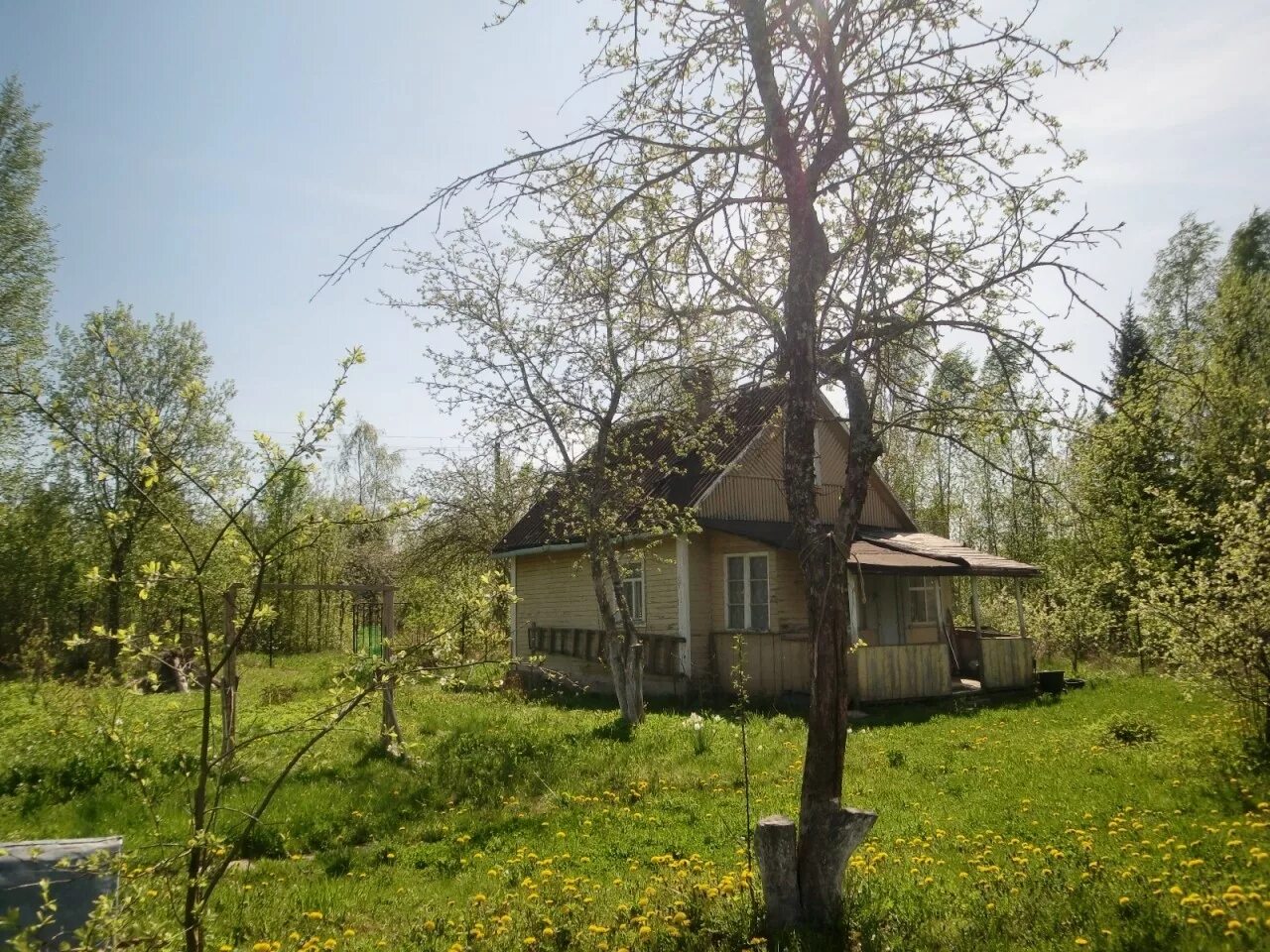 Мшинская. Станция мшинская ленинградская область. Мшинская, садоводство пролетарец. Мшинская садоводство нева. Ленинградская область, лужский район, поселок мшинская.