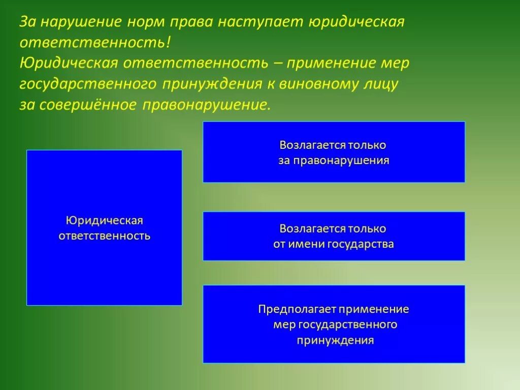 Санкции применяющиеся за нарушение правовых норм