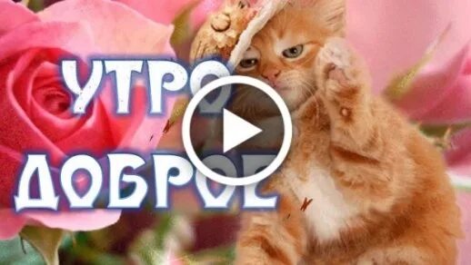 Тик ток красивые пожелания. Тик ток открытки с добрым утром. Тик-ток с добрым. Музыкальный видеоклип с добрым утром.