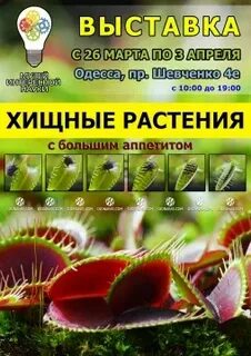 Выставка хищных