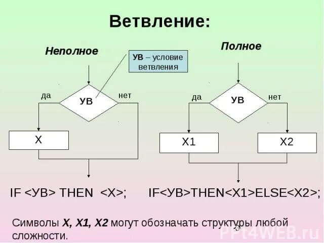 Ветви какое число