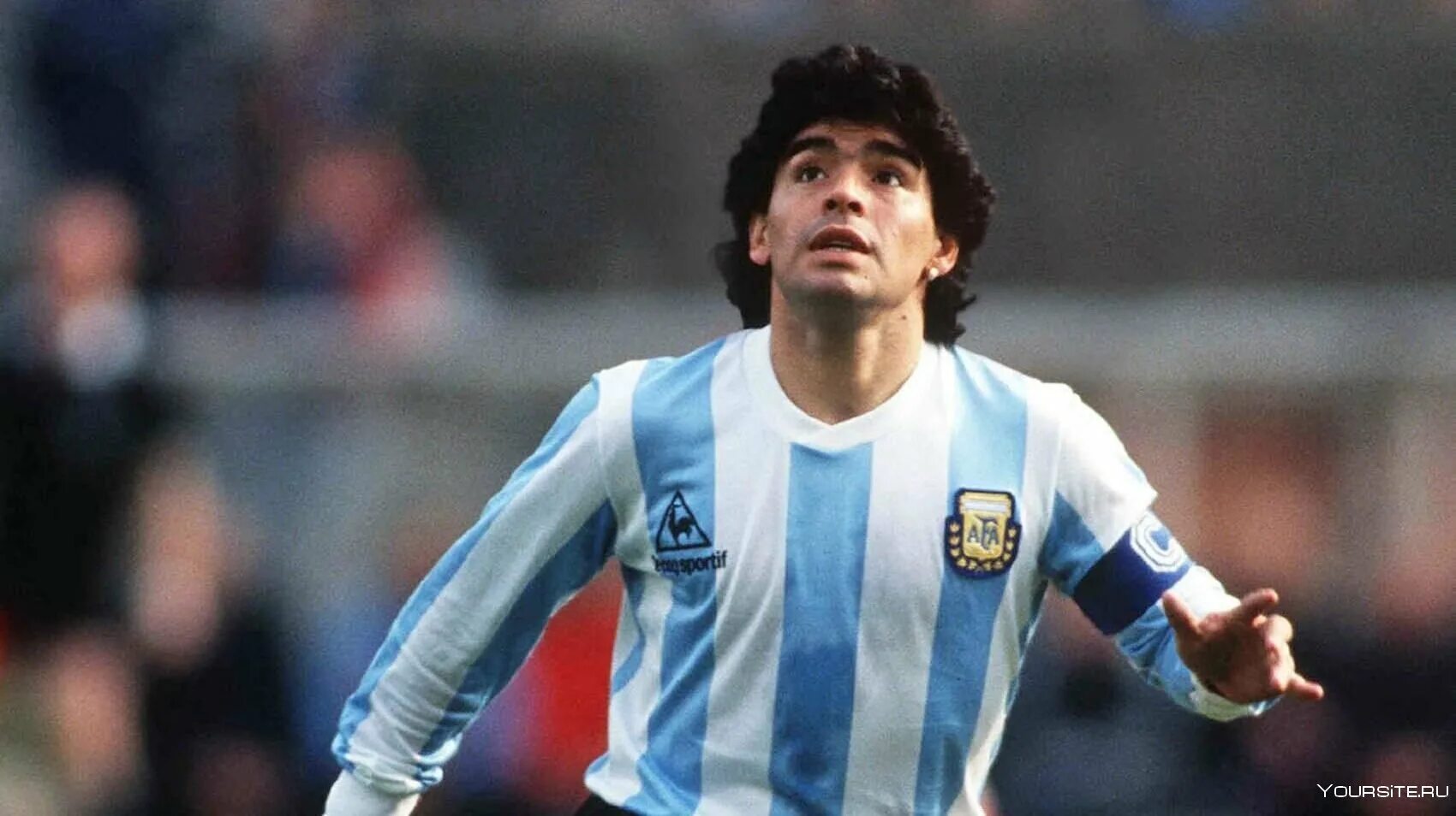 Марадона закончил карьеру. Диего марадона 2020. Марадона закончил карьеру. Диего марадона. Диего марадона.