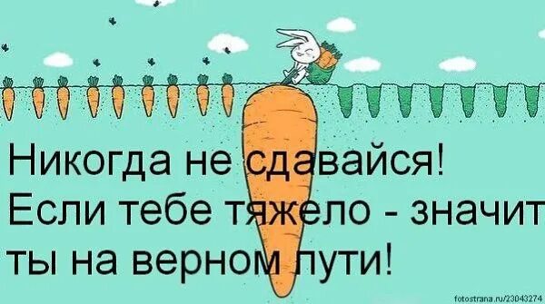 Никогда не сдавайся если тебе тяжело ты на верном пути. Если тебе тяжело значит ты на верном пути. Если тебе тяжело ты на правильном пути. Если тебе тяжело значит ты на верном пути картинки. Что значит быть легкой