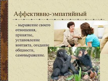 Эмпатийный