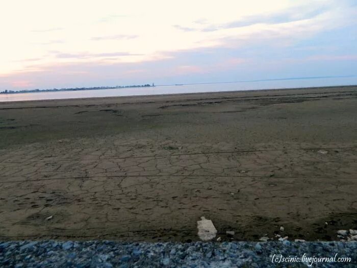 Цимлянское водохранилище. Цимлянское водохранилище обмелело. Обмеление Цимлянского водохранилища. Ростов Цимлянское водохранилище. Цимлянское водохранилище уровень воды на сегодня