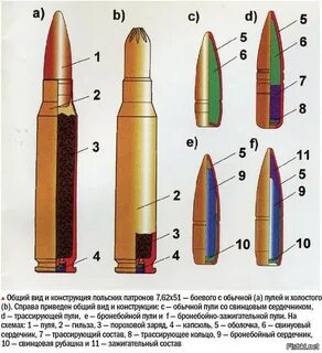 Из чего состоит патрон автомата