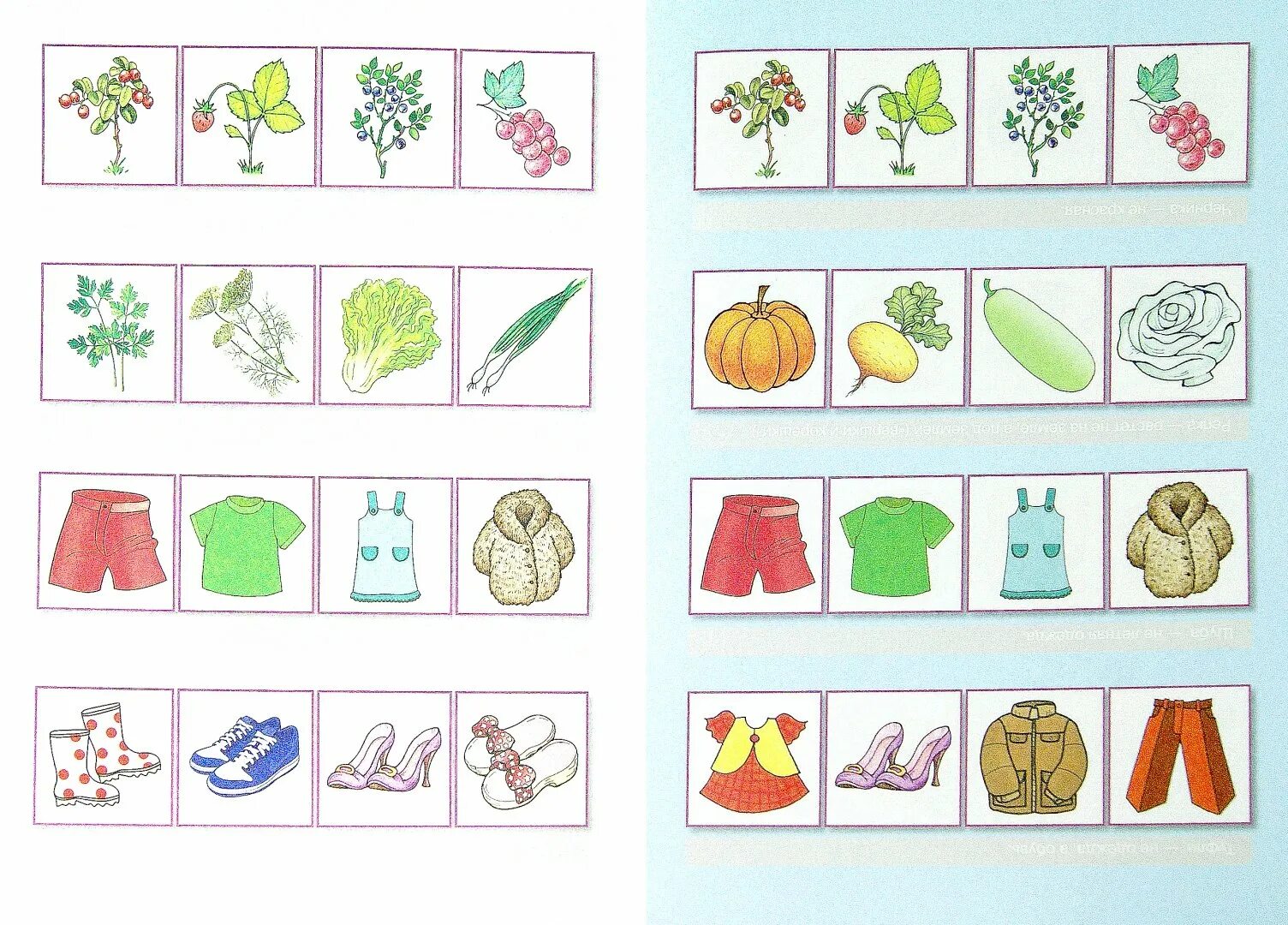 Обобщение карточки 4 класс. Развивающие карточки для дошкольников. Материал для дошкольников. Классификация для дошкольников. Классификация предметов.