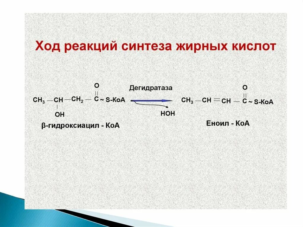 Реакция синтеза пример. Синтез высших жирных кислот реакции. Синтез жирных кислот биохимия реакции. Реакция синтеза. Ход реакции синтеза жирных кислот.