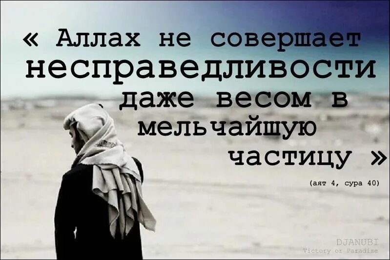 Всевышний скор в расчете