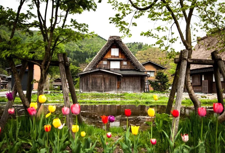 Японская деревня видео. Сугисава японская деревня. деревни юга японии. горная деревня в японии. деревню kaiyo япония.
