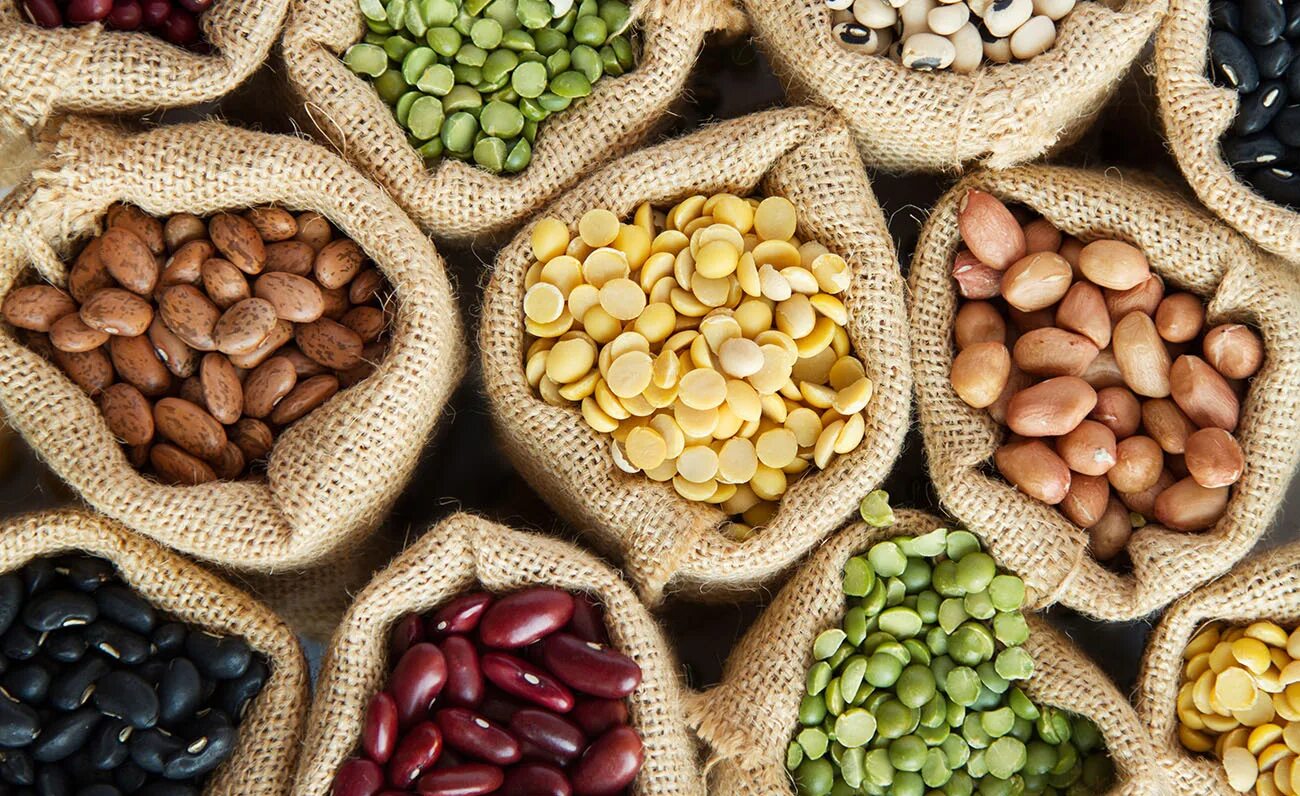 Съедобные семена. Зерновые бобовые. Семена зерновых зернобобовых. Семена яровых зерновых и зернобобовых культур. Гарог, бабы , чачавицы , соя.