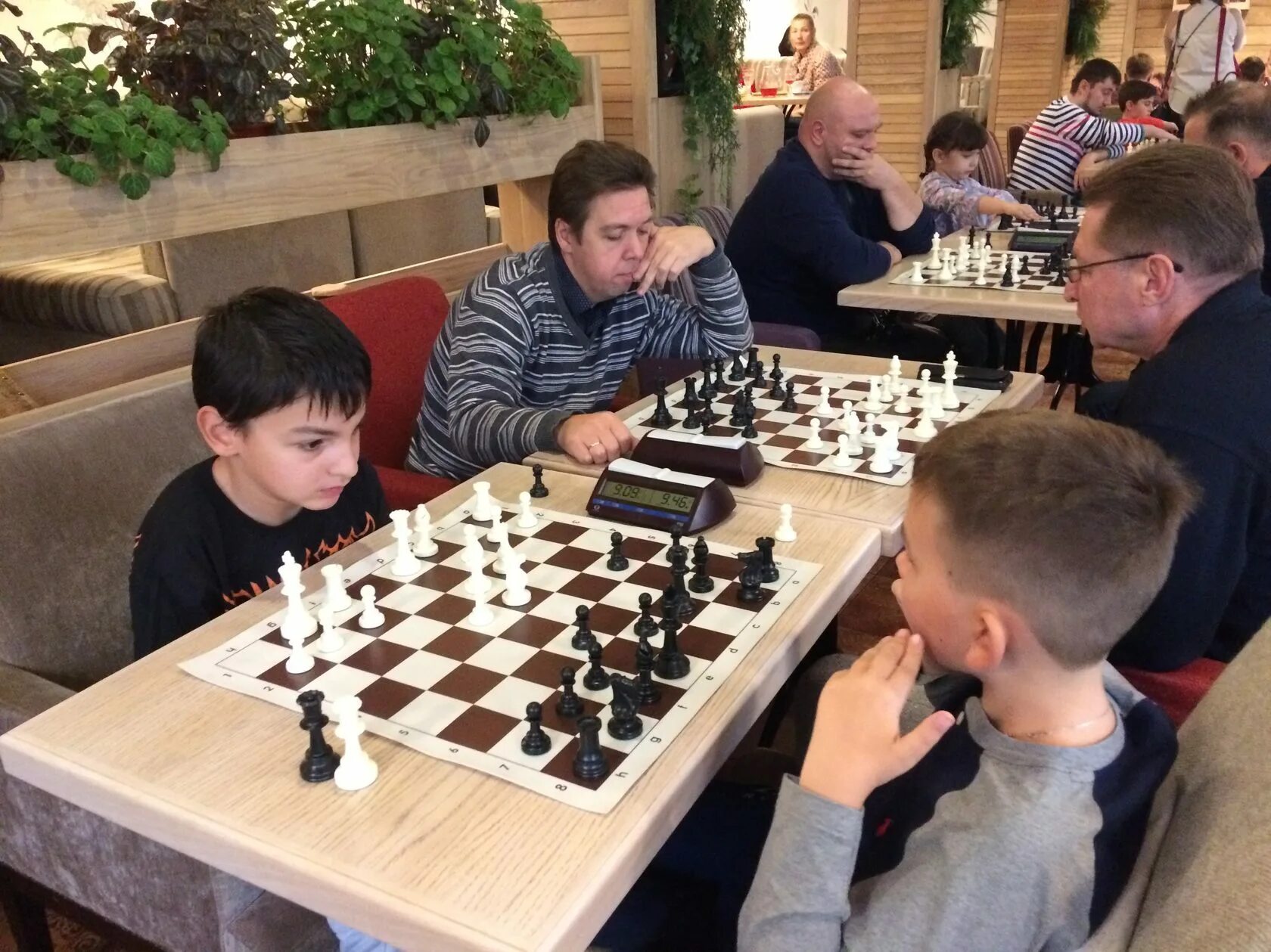 Family battle. Семейный шахматный турнир. Шахматный батл. Шахматы семья. Турнир шахматная семья.