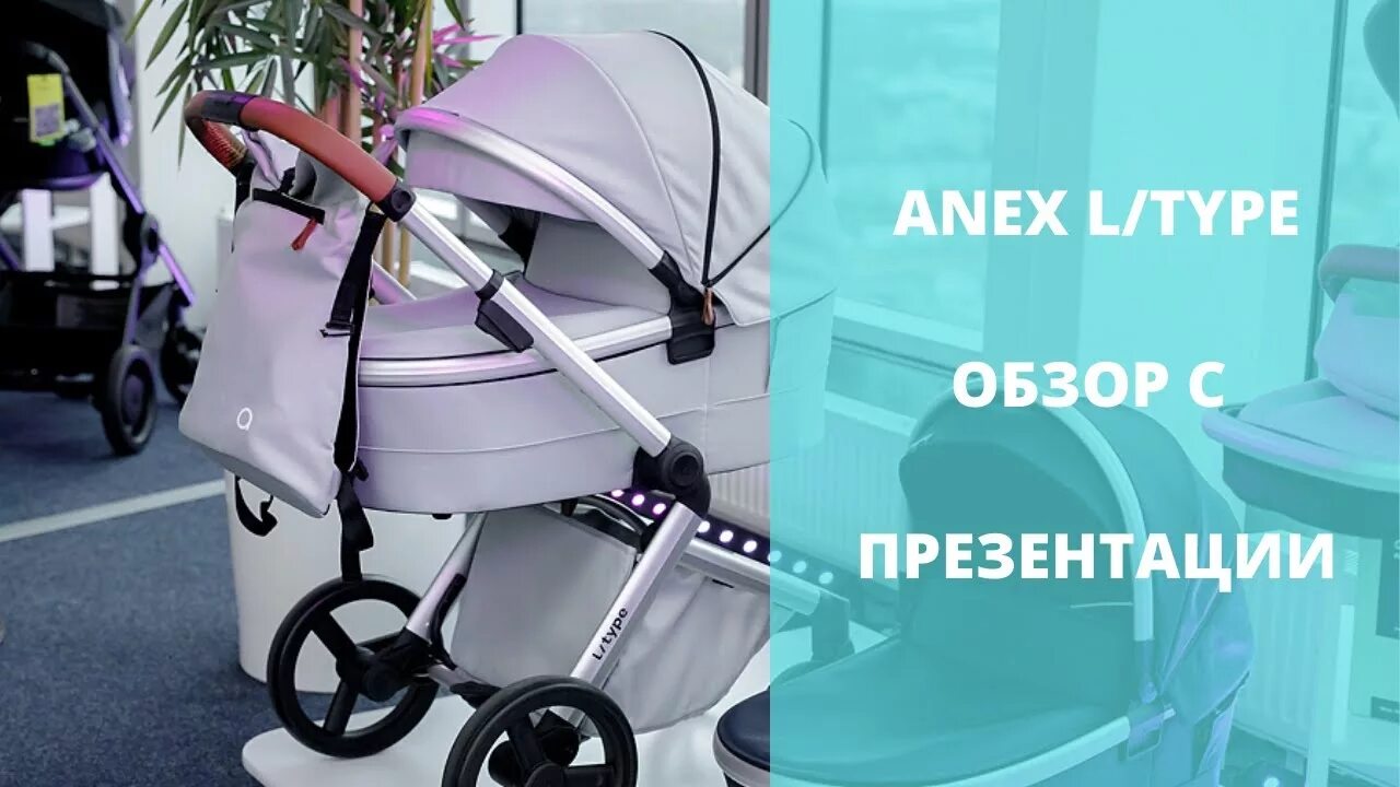 Коляска 2 в 1 Anex l/Type. Annex l Type коляска 2 в 1. Анекс л тайп прогулка. Annex l Type 3 в 1.