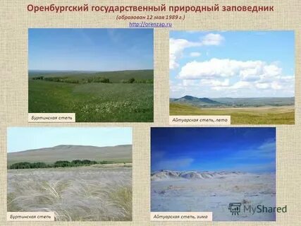 Зона степей название заповедника