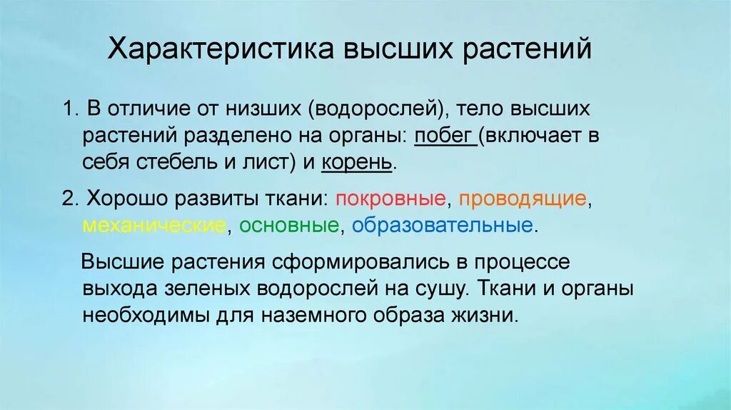 Чем отличается высокая. Признаки высших растений. Высшие растения особенности. Общая характеристика высших растений. Характеристика высших и низших растений.