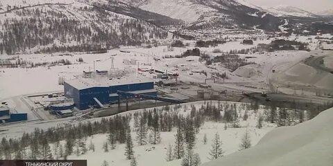Павлик магадан