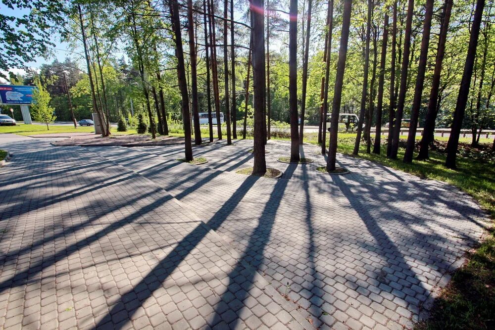 просвещение сестрорецк