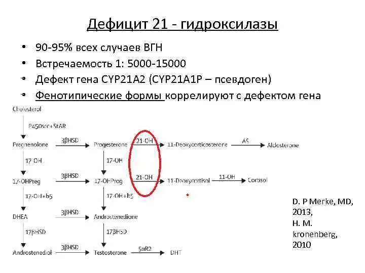 Дефицит 21 гидроксилазы. Недостаточность 21-гидроксилазы. ген cyp21. дефект 21 гидроксилазы.