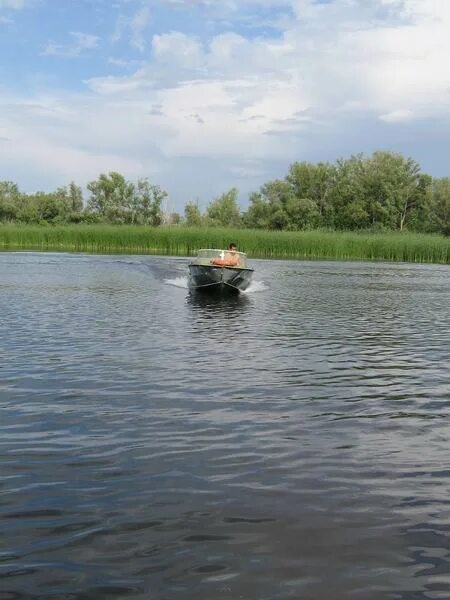 Озеро Сазанка Энгельс. Озеро Сазанка Саратов. Река Сазанка Астраханская область. Энгельс озеро Сазанка рыбалка.