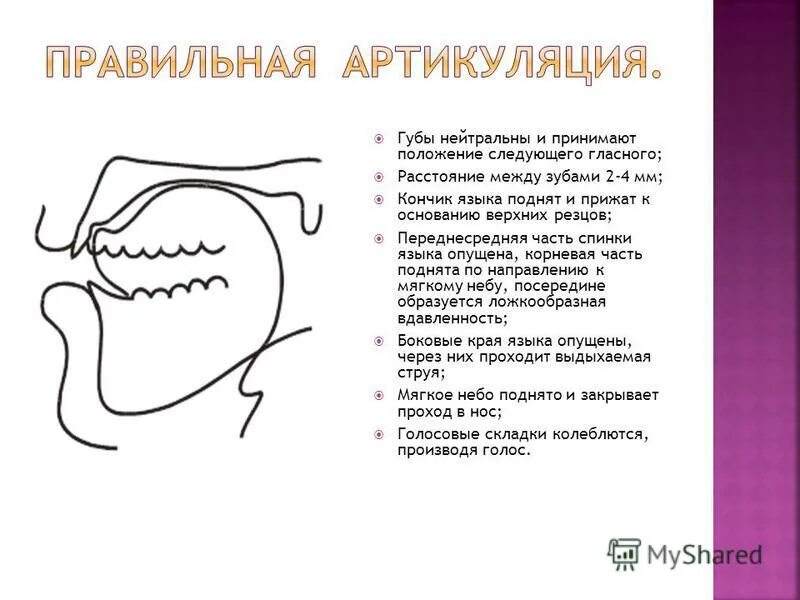 Политическая артикуляция. Правильное положение языка. Положение языка в ротовой полости. Правильное положение языка во рту. Правильное и неправильное положение языка.