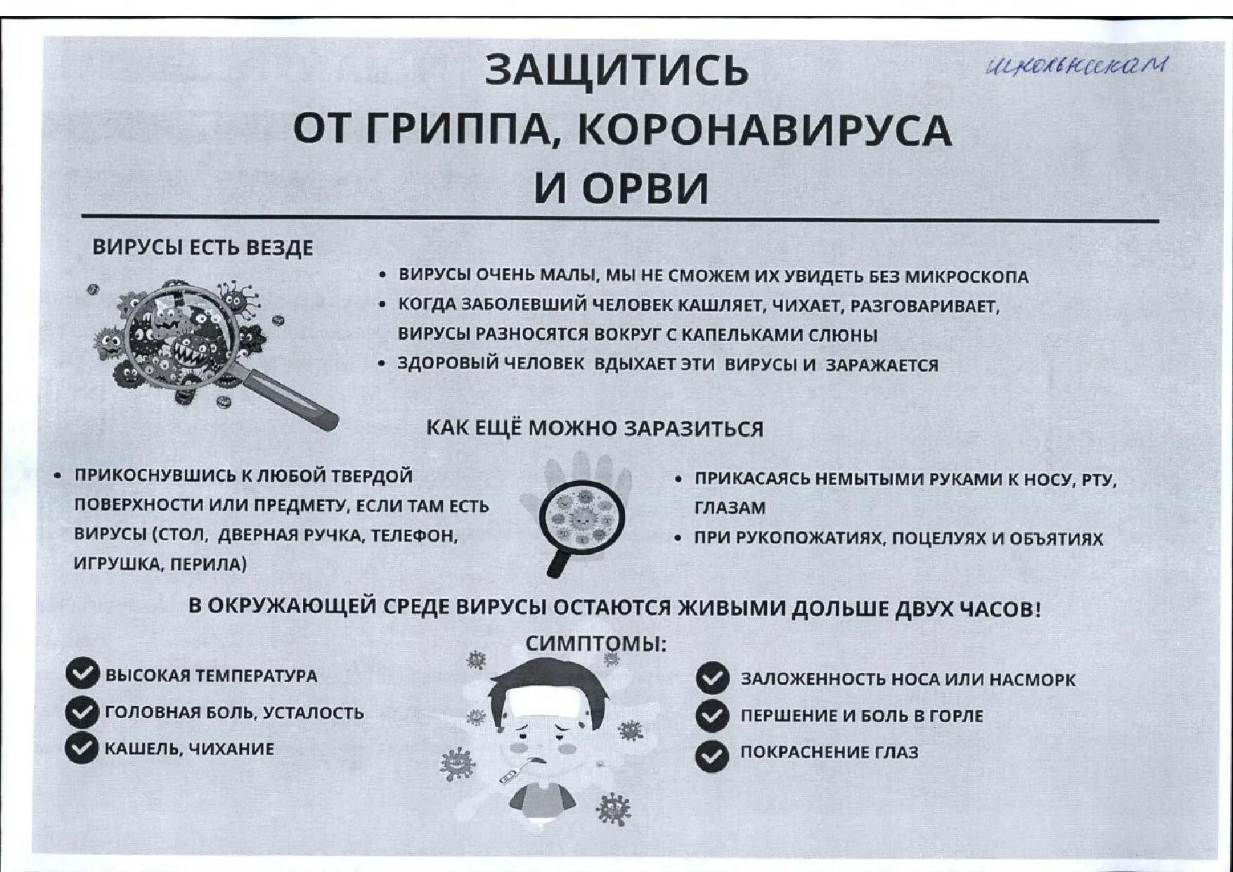 Профилактика коронавируса. Памятка по профилактике коронавируса. Коронавирус профилактика памятка. Памятка симптомы коронавируса. Защитись от гриппа коронавируса и ОРВИ памятка.