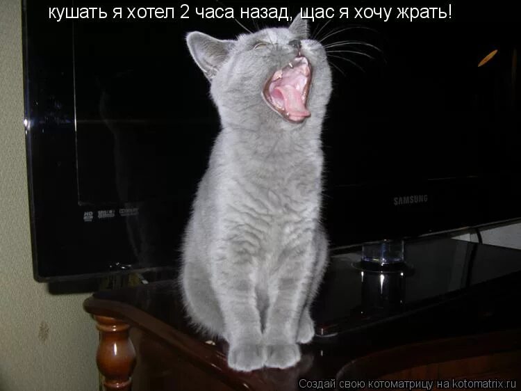 песня я работать не хочу хочу жрать. песня я работать не хочу хочу жрать. жрать а кушать. хочу жрать. жрать хочу прикол.