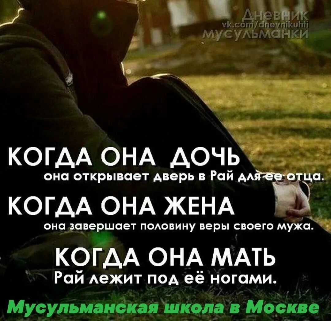 Умные статусы в ватсап