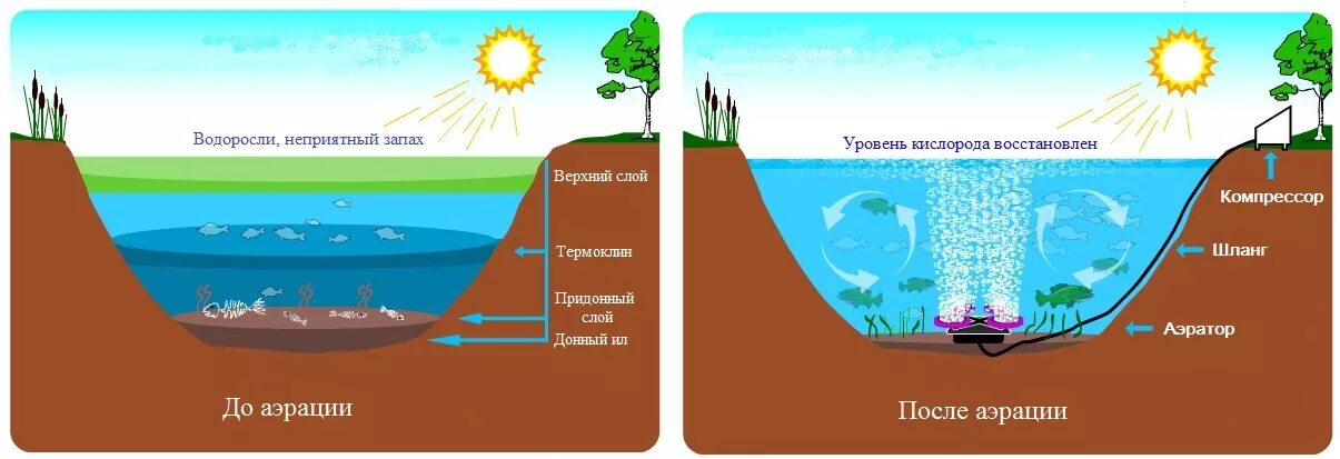 Состояние кислорода в воде