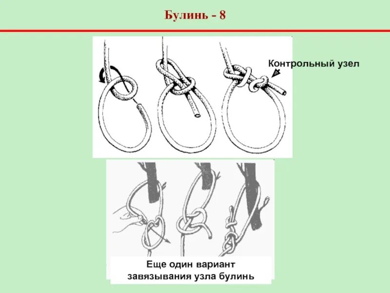 Контрольный узел. Узел булинь в альпинизме. Булинь с контрольным. Контрольный узел в альпинизме. Вспомогательные узлы в туризме.