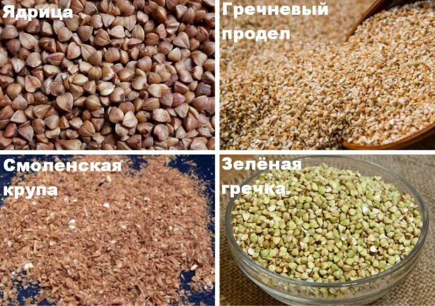 Гречневая крупа содержит 12. Гречиха - ядрица, продел. ядрица продел смоленская крупа. гречка ядрица и продел. гречиха ядрица продел смоленская крупа.