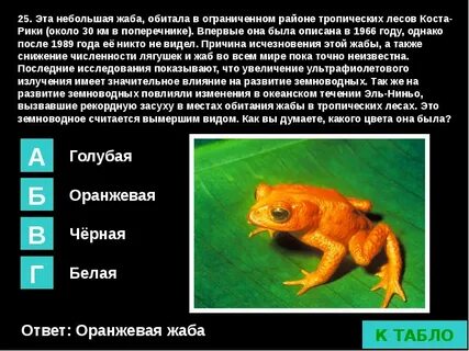 Место обитания лягушки