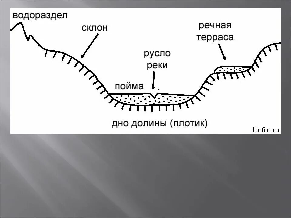 Формы речных Долин и элементы русла. Долина реки и ее элементы типы речных Долин. Элементы Речной Долины схема. Геологическое строение Речной Долины. Пойма это простыми словами