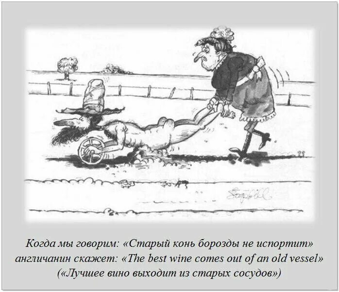 Борозда и конь. Такой конь не испортит борозды. Старый конь борозды не портит картинки. Старая кобыла борозды не испортит. Пословица старый конь борозды не испортит.